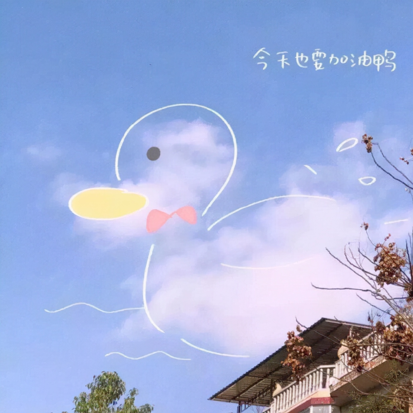 海南专升本语文知识点归纳,海南专升本英语怎么学