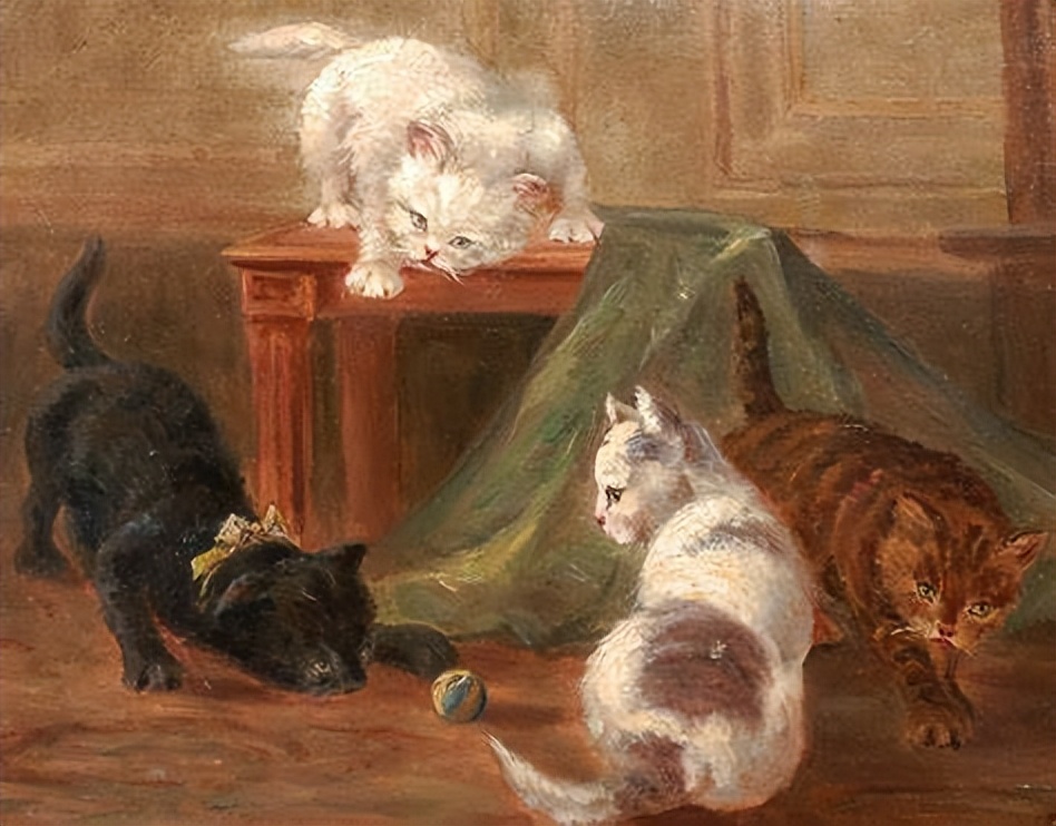 冷知识猫咪的脑袋,冷知识猫咪听歌