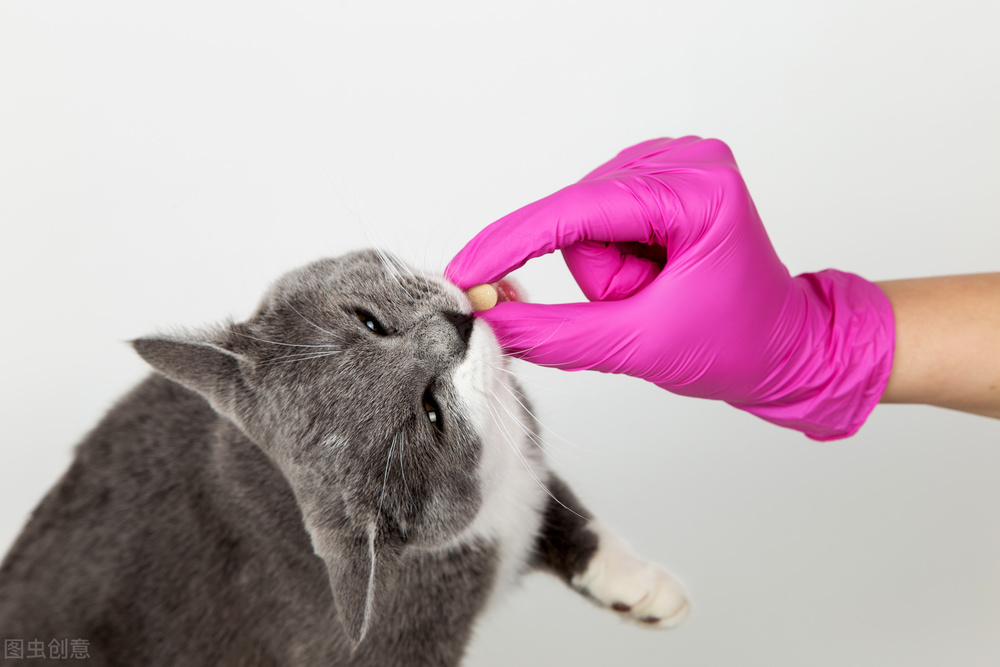 猫咪吐未消化的猫粮还拉稀,换猫粮后又吐又拉稀怎么办
