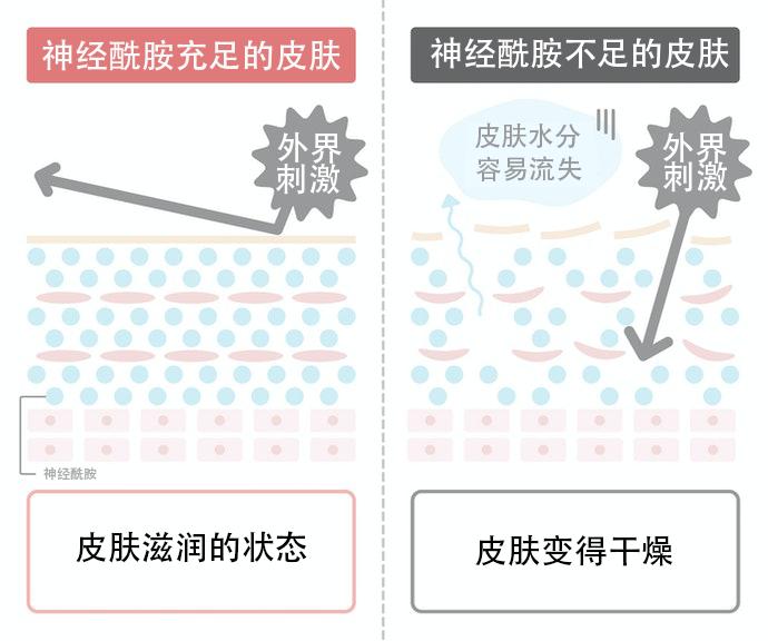 riceforceb面霜如何购买,riceforce米之珀测评