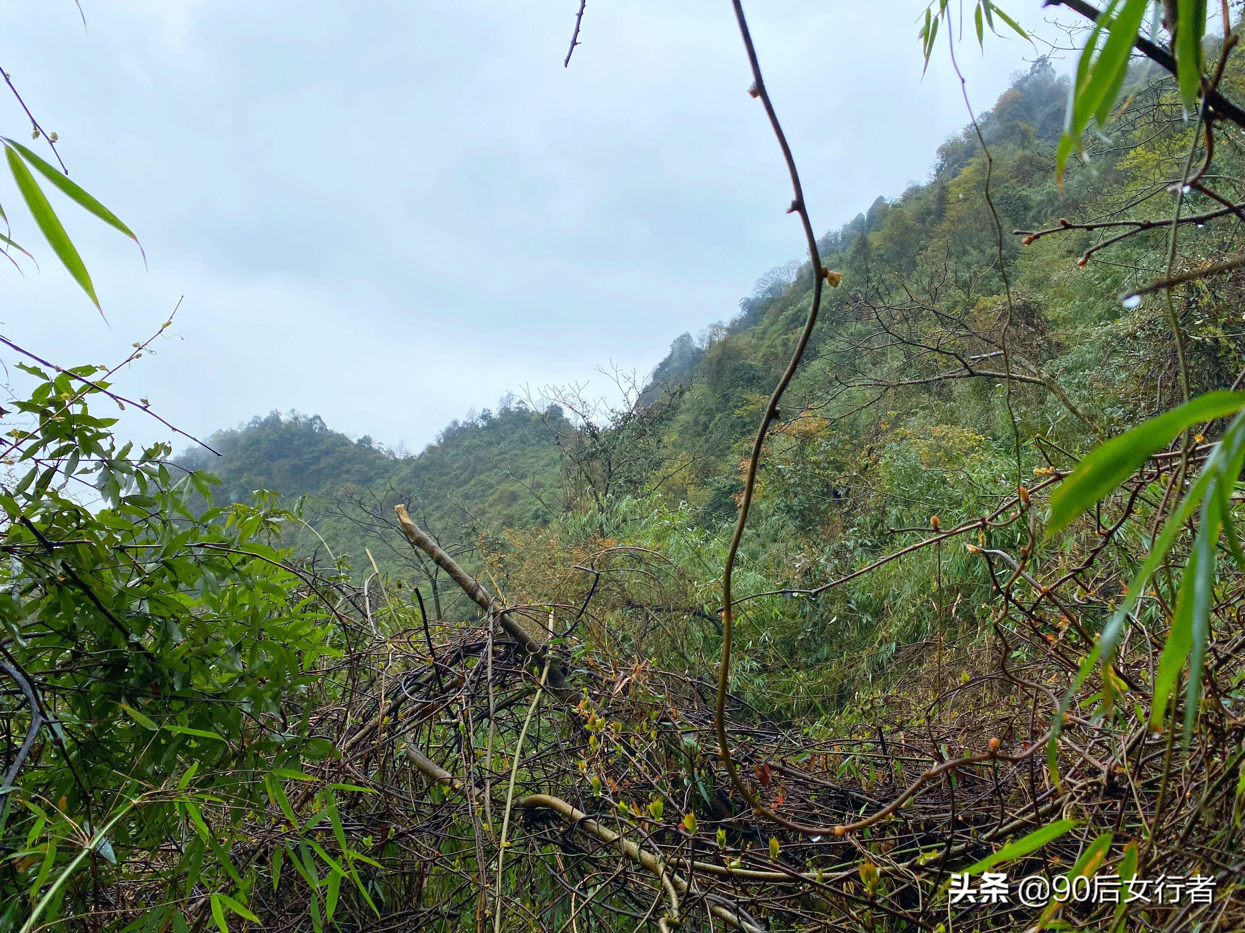 雨天徒步十里长山凹,走进大自然翻山越岭户外徒步