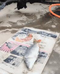 “你以为女生睡觉都是靠着男票？为你解锁更多姿势！”