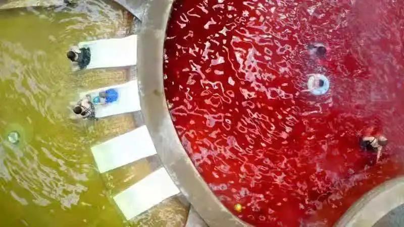 冬游美食推荐,冬游美食季