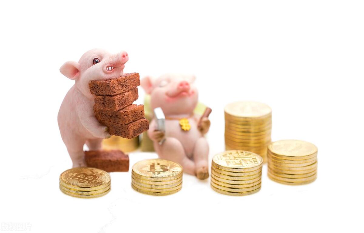 亲情重要还是钱重要,钱重要还是身体重要