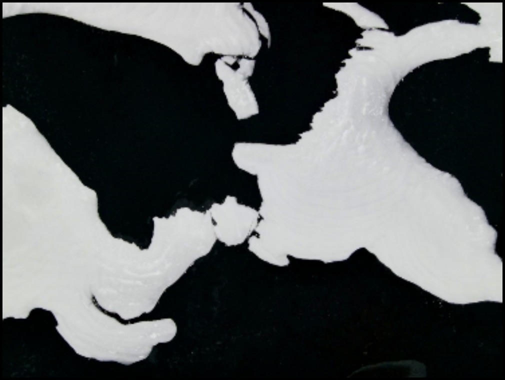 扫描全能王怎么扫描身份证电子版,扫描王怎么把身份证扫描成电子版