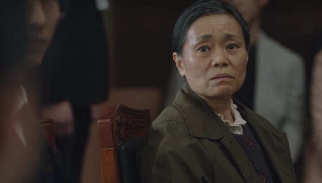 《非常律师禹英禑》真人真事案件：自闭症弟弟救哥哥致死案