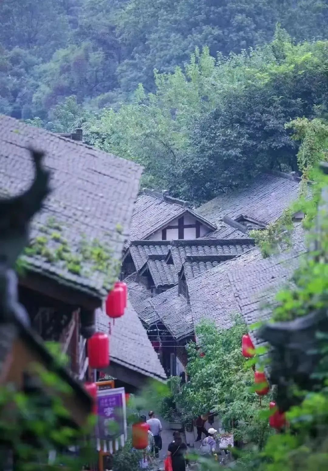 五一都江堰耍水一日游攻略,五一都江堰旅游攻略