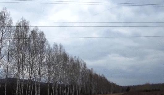 第一个用无人机拍到的鲸鱼,鲸鱼萤火虫