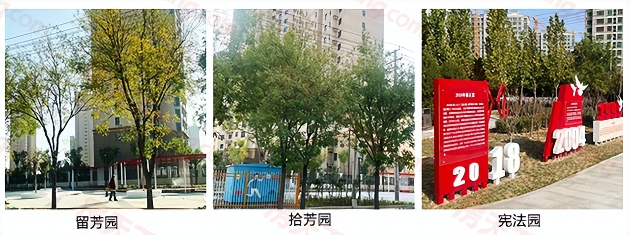 2019年7月衡水楼市月报之房价篇,未来河北衡水楼市变化