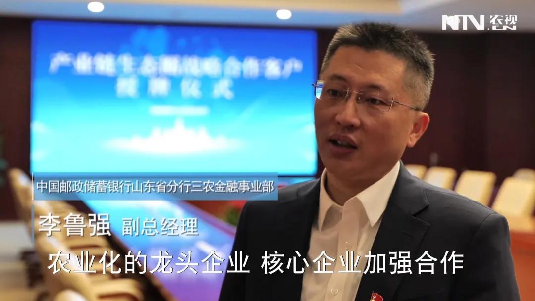 干养殖没资金？“产业链金融”来救急