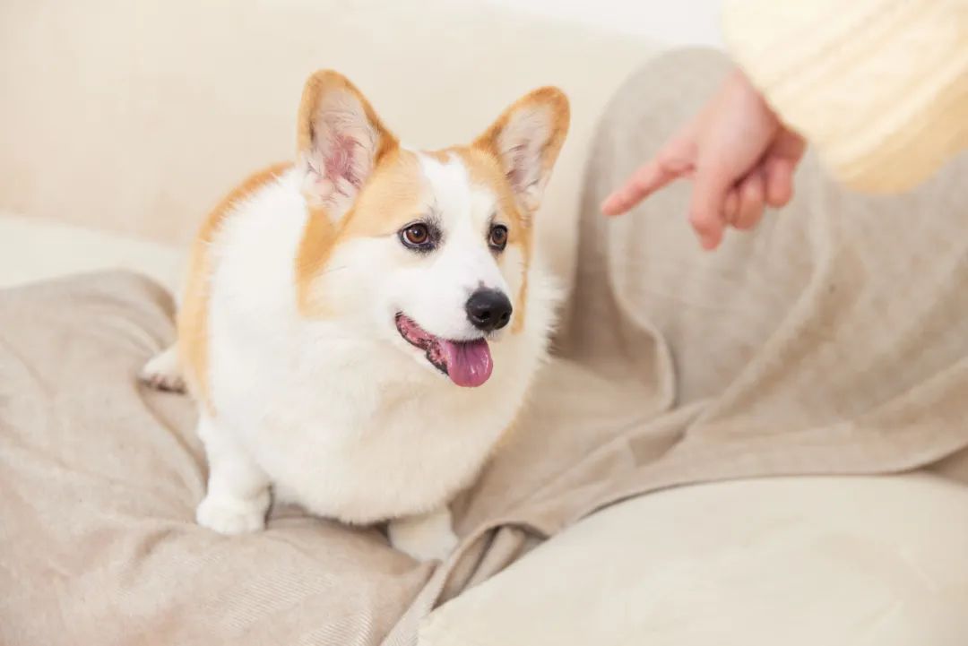 “敲门”别再说“knockthedoor”,老外听了可能要报警!