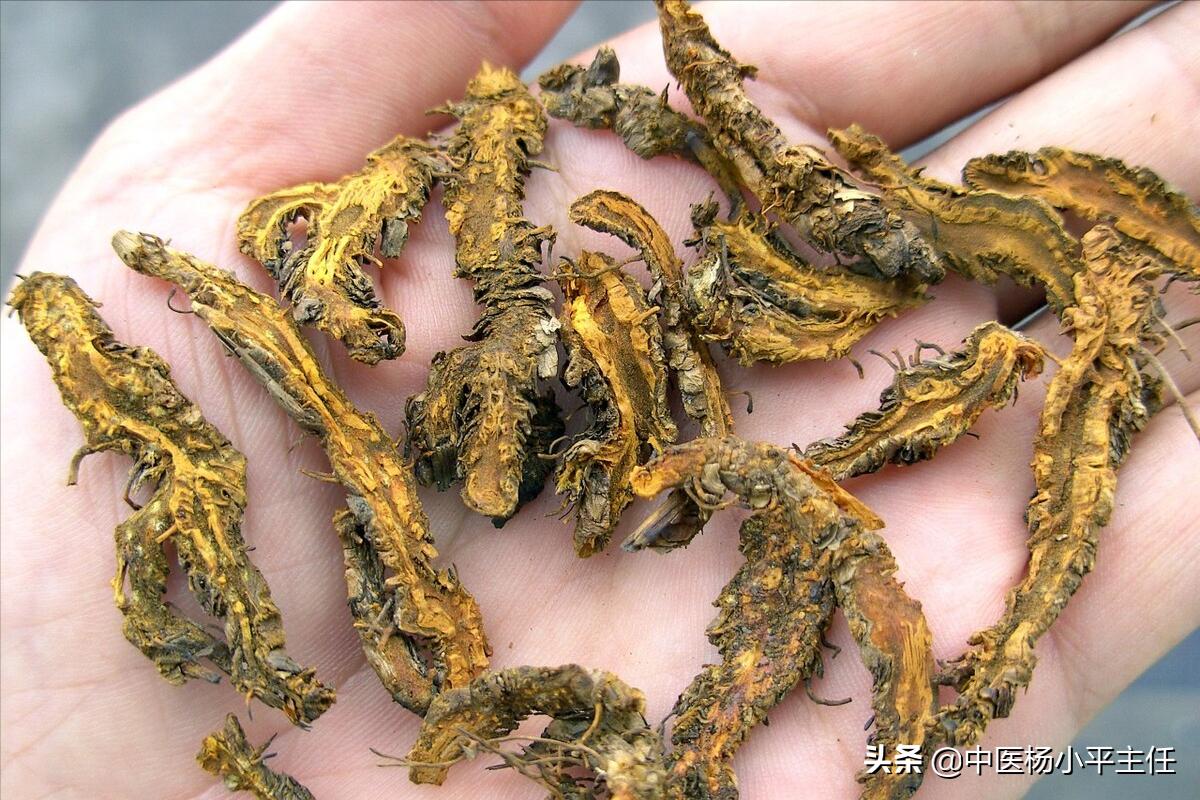 脾胃湿热多汗代表方剂,脾胃湿热小便不利