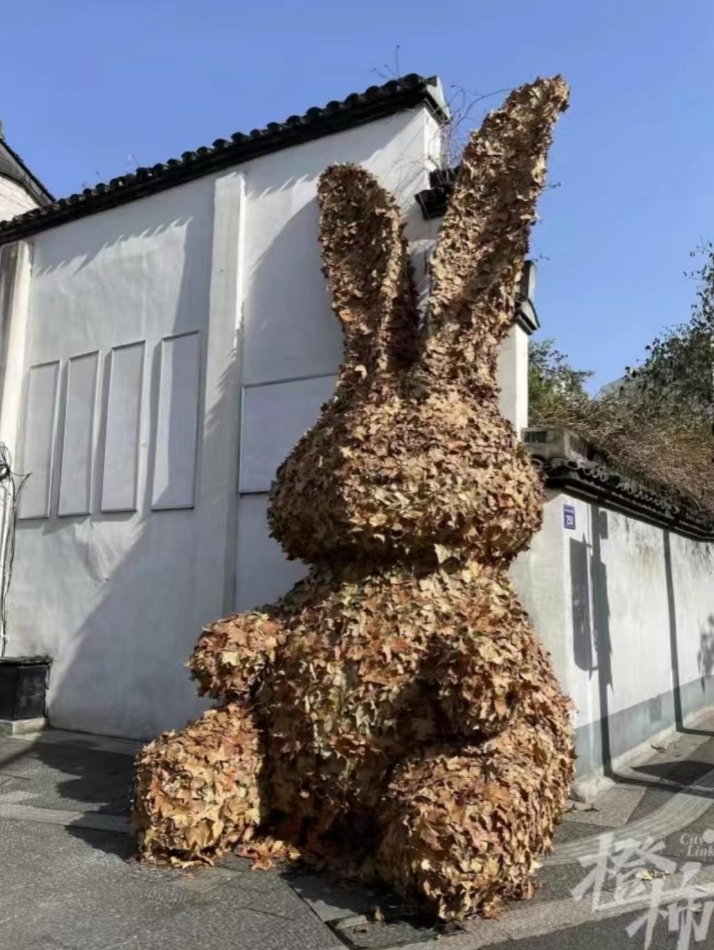 创意园网红打卡地点巨型兔,杭州网红兔打卡地