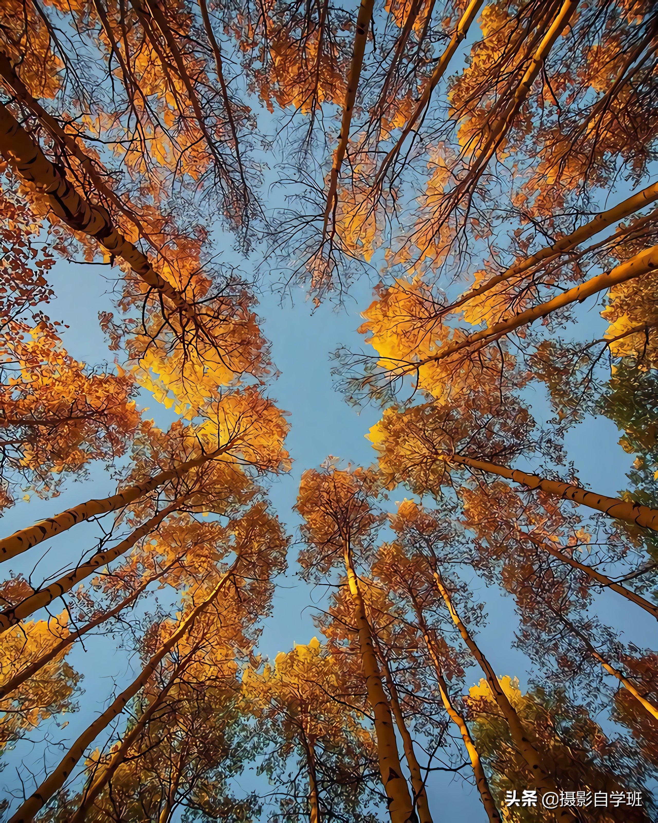 拍风光照的12个摄影技巧,怎么拍最漂亮风景摄影技法