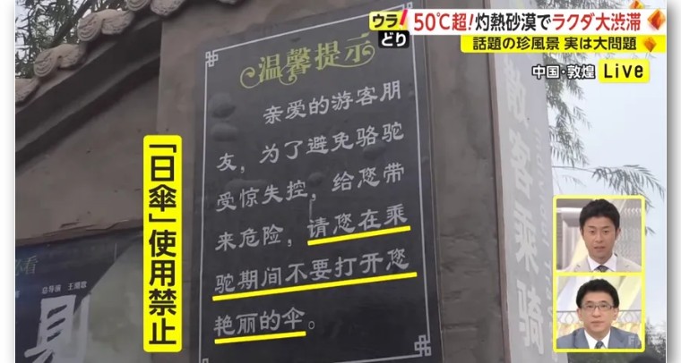 日本记者敦煌堵骆驼,日本记者直播连线冰墩墩