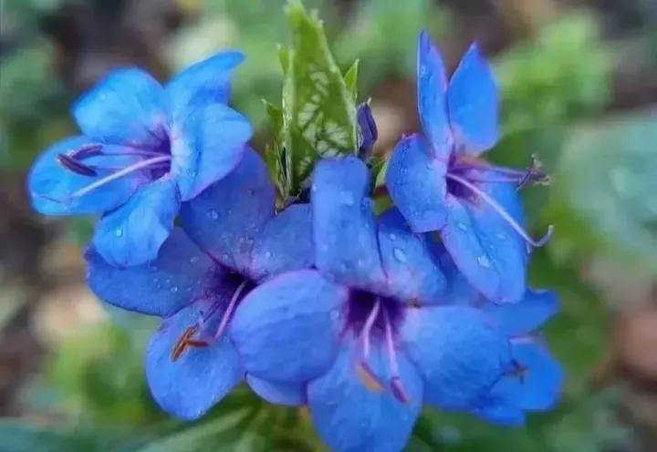 成功人士不轻易分享的自学秘诀,自学能力决定人生的高度和方法