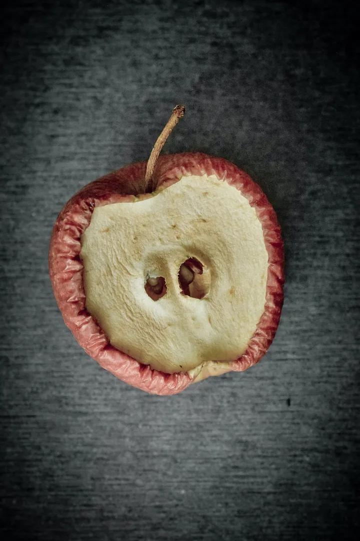 肠道菌群失调饮食应该注意什么,饮食失调如何调理身体