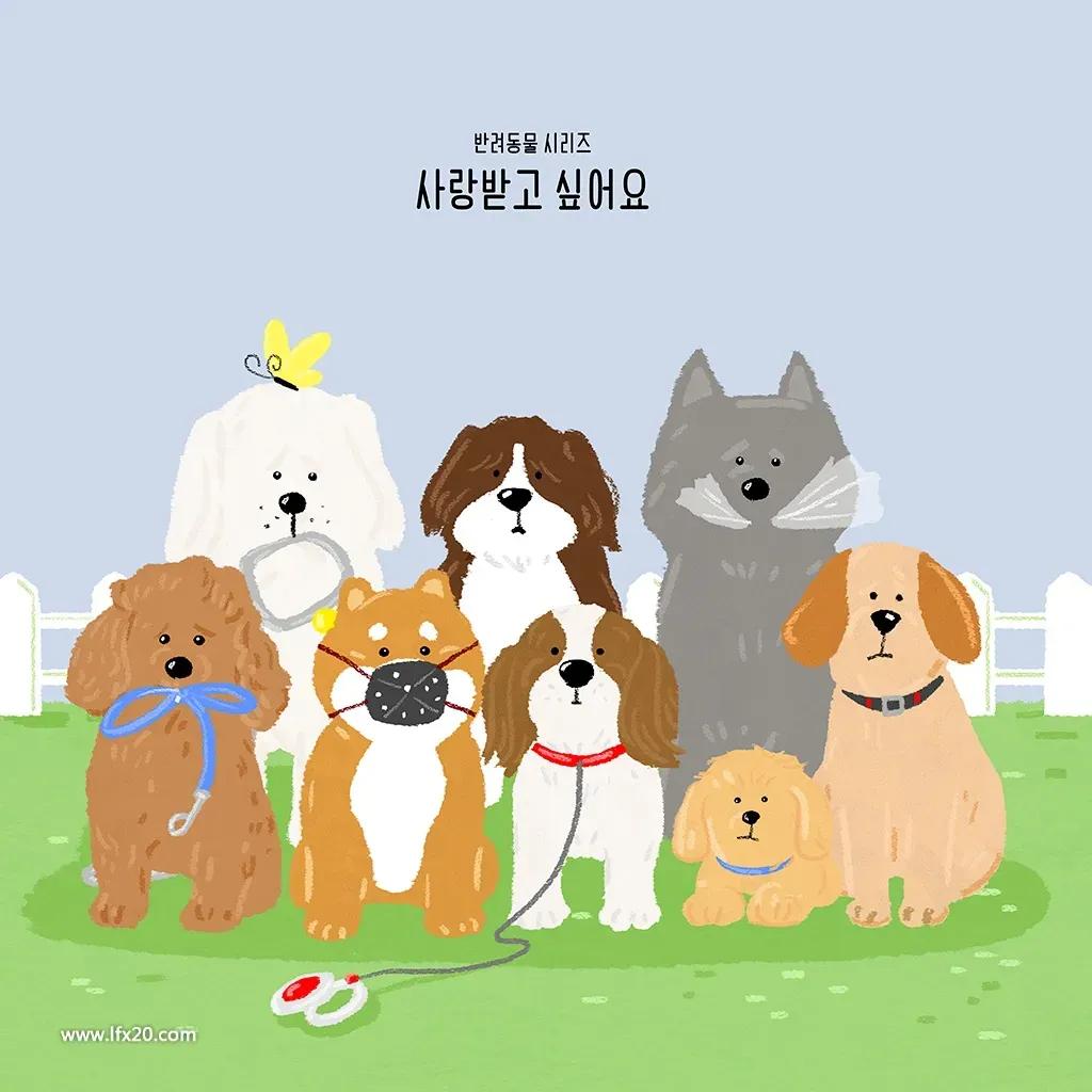 宠物绝育前，你需要知道的事