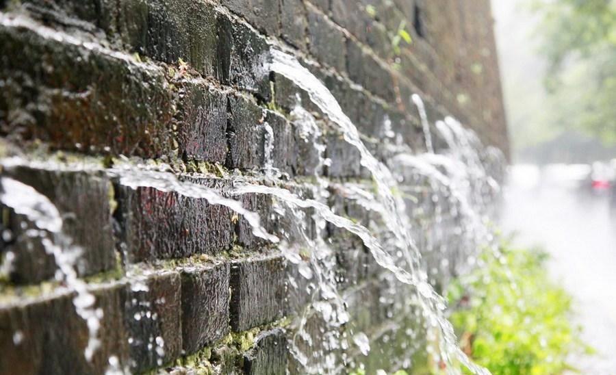 明孝陵水杉网红打卡,南京明城墙惊艳