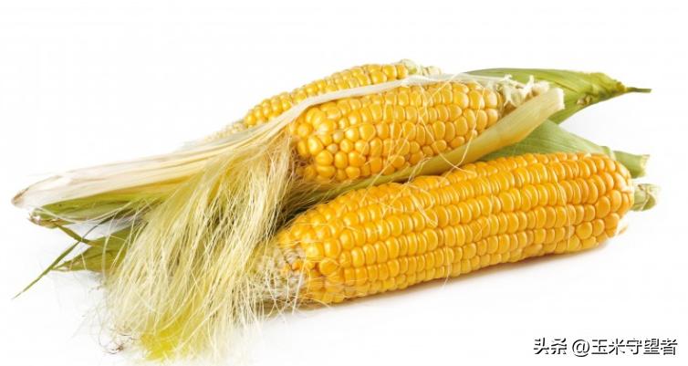 玉米淀粉价格或继续下跌,下半年玉米淀粉行情走势