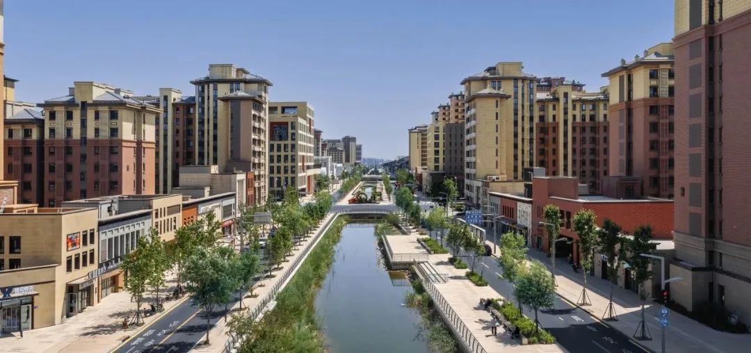 天大设计院设计者,天大设计总院院长