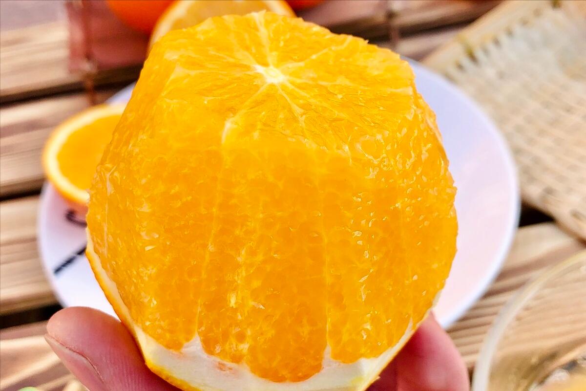 江西有名的十大特产，瓦罐汤排倒数第一，年糕排第三，你吃过吗