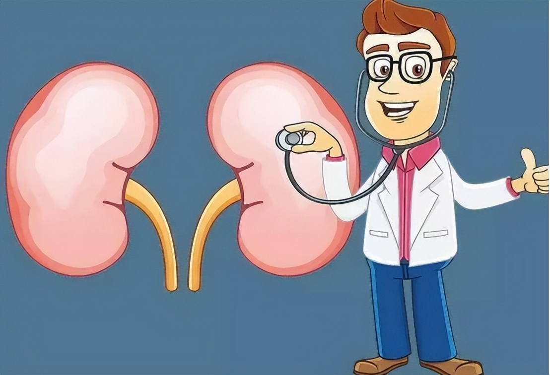 补肾是补肾片好还是六味地黄丸好,补肾中药好还是六味地黄丸好