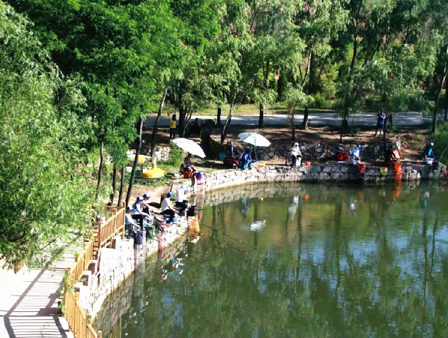 晋享清凉活力一夏启动,晋享清凉活力一夏太原采访