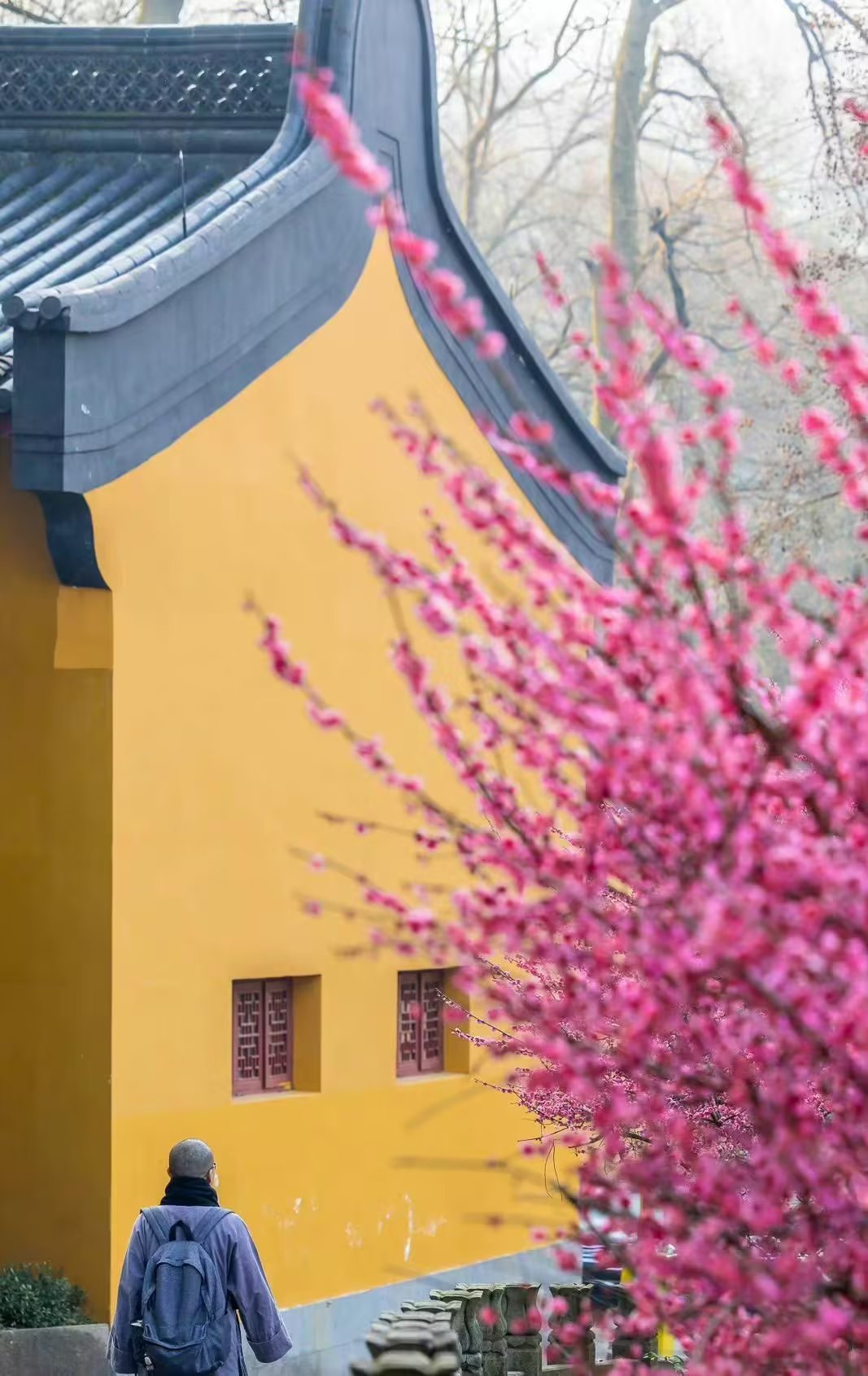 三月，赠流年一枝春，余生安然静好