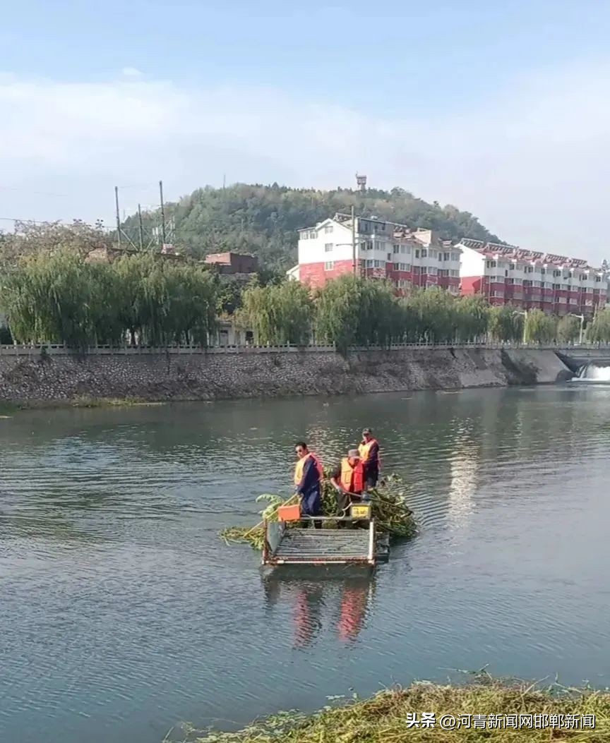 邯郸哪里有水草收割船,邯郸水草收割船