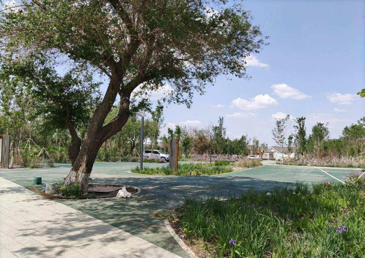 乌鲁木齐2020年十大公园,乌鲁木齐公园数量