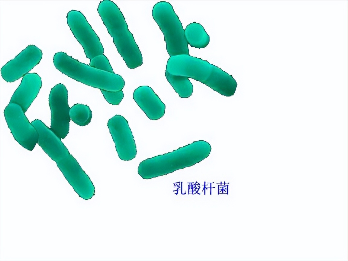 上了年纪进行夫妻生活，男女各有各的“难关”，注意这几点很关键