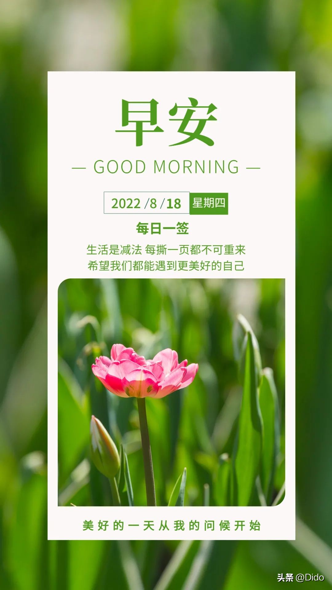 8月18日周四早安，人生路多少岁都可以是起点，与年龄无关