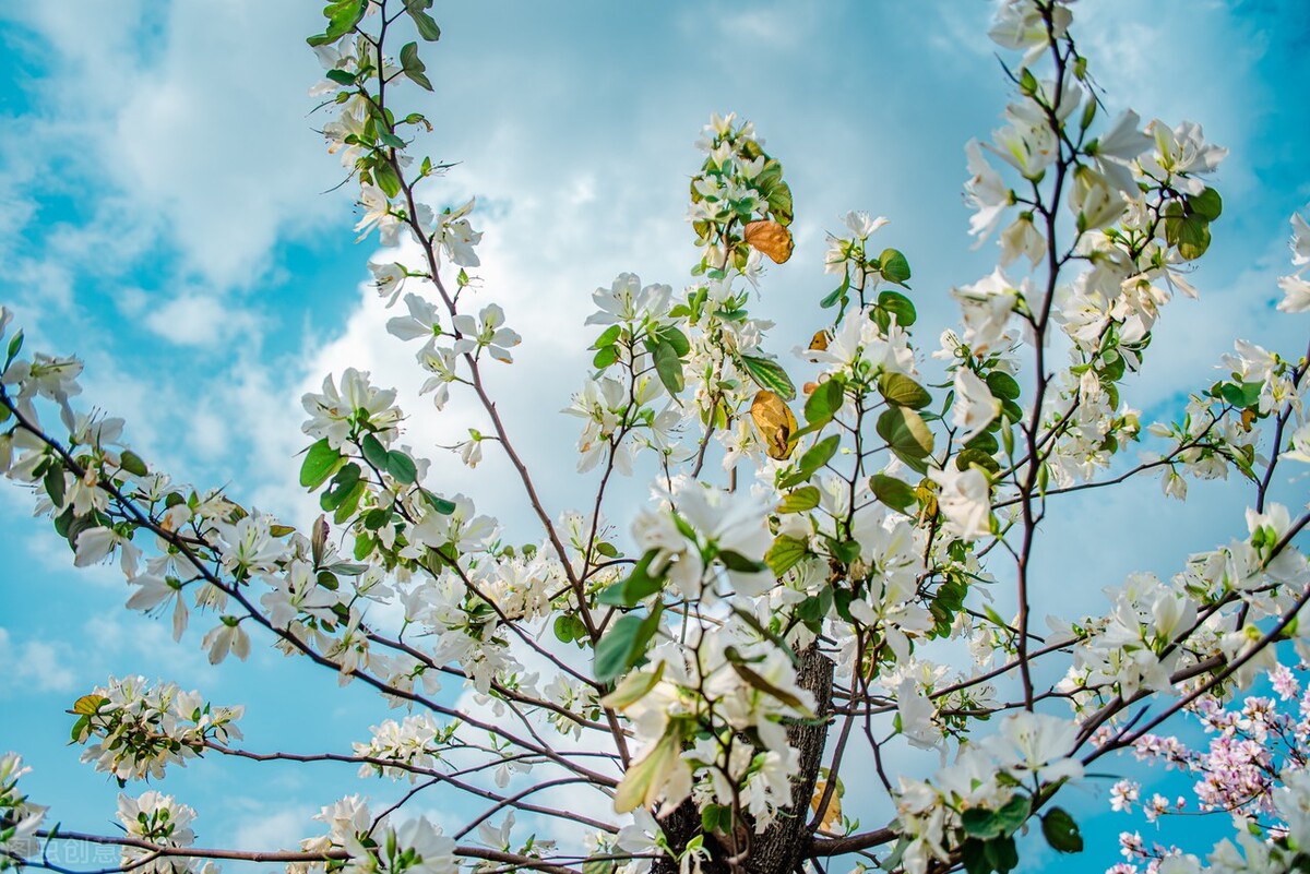 做好这18件小事，会让你感到更幸福