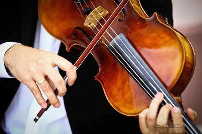 西洋管乐器里的拉弦乐器三种,西洋管弦乐器大提琴简介