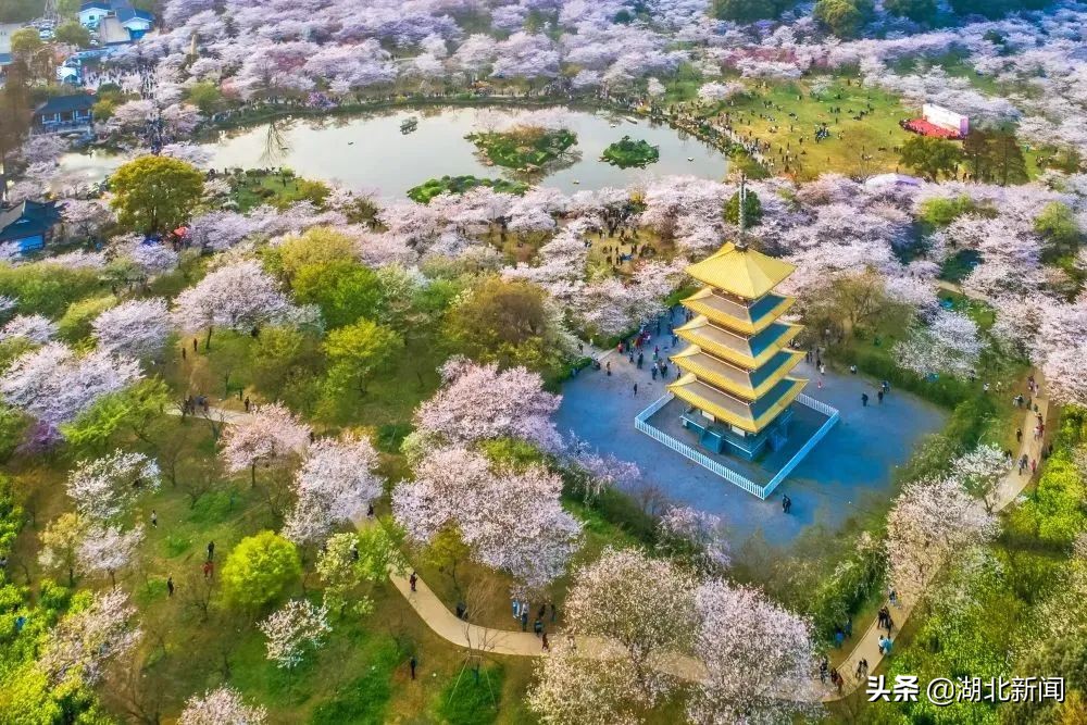 湖北十大最美乡镇看看你去过几个,湖北最美的五个县