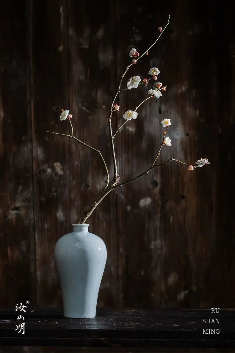 梦华录评价神仙姐姐,看了梦华录难释怀