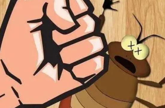 一招告诉你怎么消灭蟑螂最彻底,蟑螂不喜欢闻什么味道来消灭蟑螂