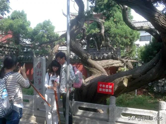 有时候工作累了有情绪了,工作很累但是要保持美好的心情