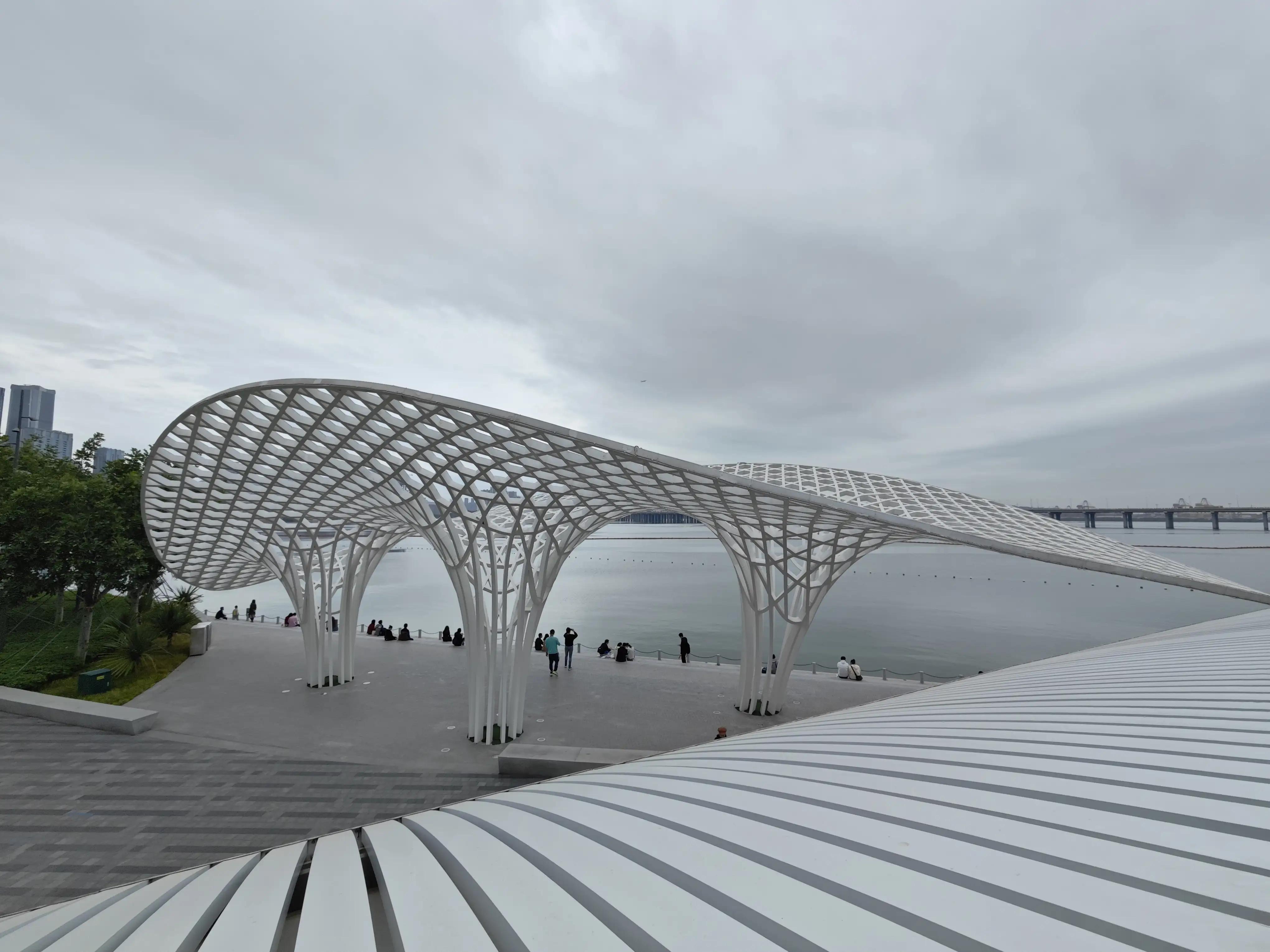 宝安滨海廊桥路线图,宝安滨海廊桥入口