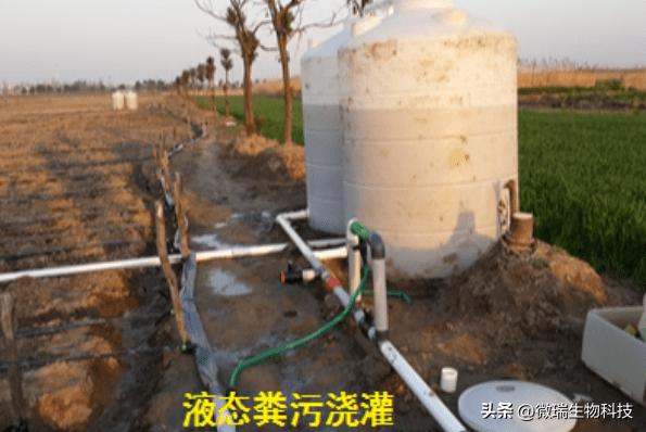 养猪场臭气怎么解决,猪舍臭气治理