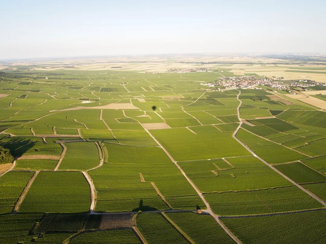 香槟葡萄园旅行,旅游香槟