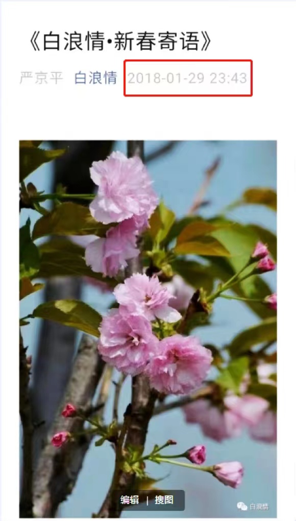 白浪情公众号标识,白浪情头条号