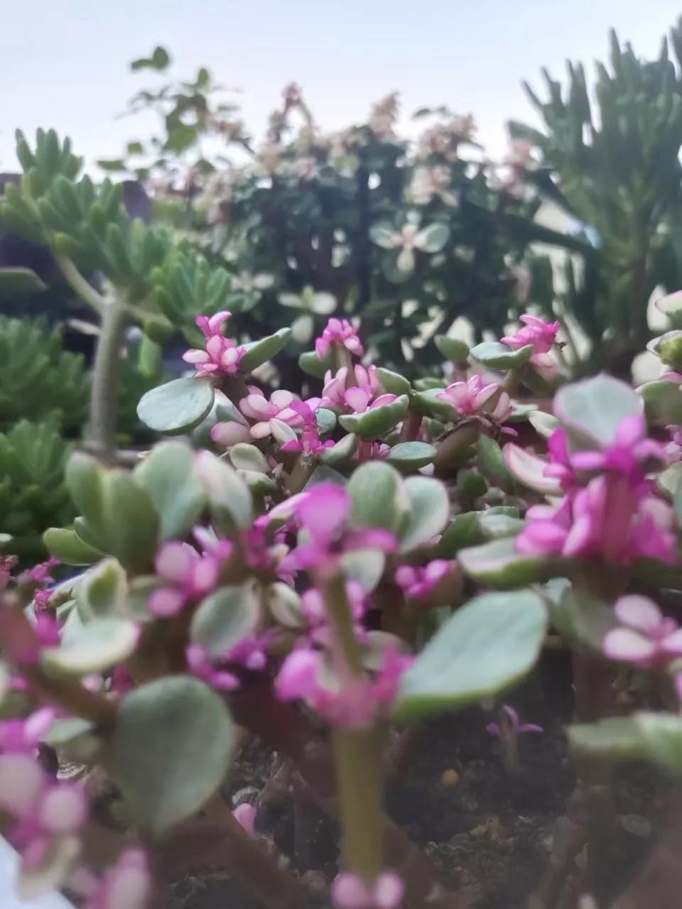 日结临时工体验,南京日结工