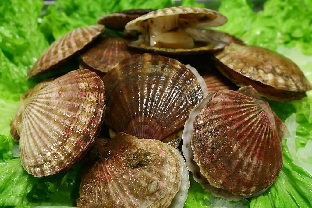 痘痘怎么快速消红消肿,结节性痘痘怎么消下去