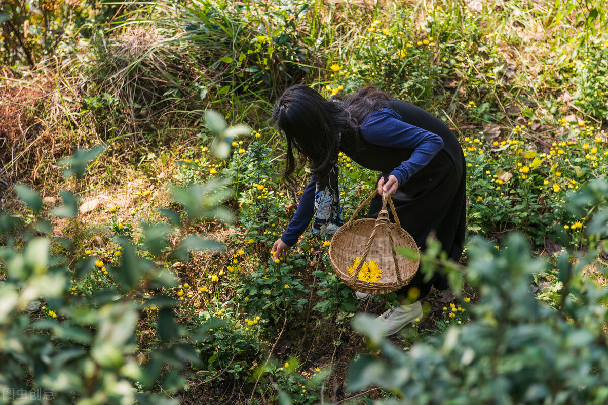 广东五一值得打卡的民宿,十一度假旅游推荐