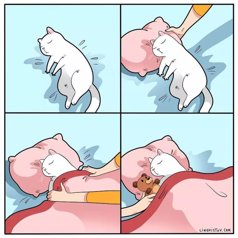 喵星人的那些事儿铲屎官漫画,猫咪铲屎官日常漫图