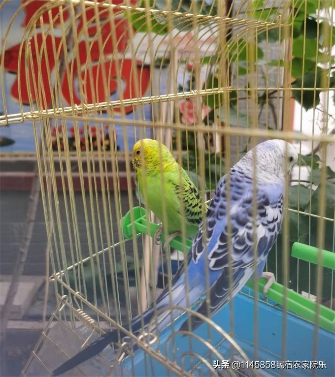 北京密云精品民宿小院,北京密云轻奢民宿