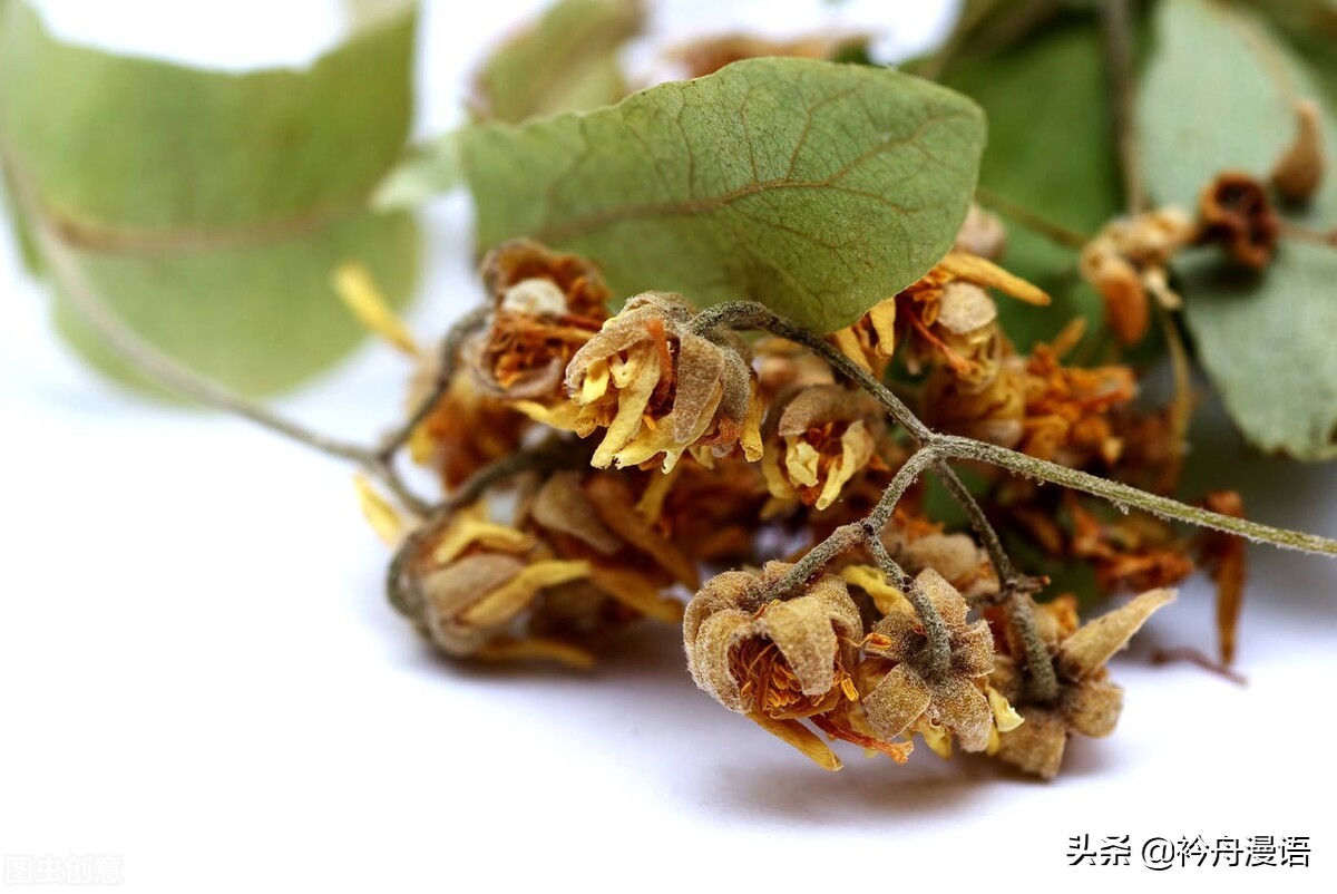 一花一世界一叶一菩提一人一众生,一花一世界一树一菩提一生爱一人