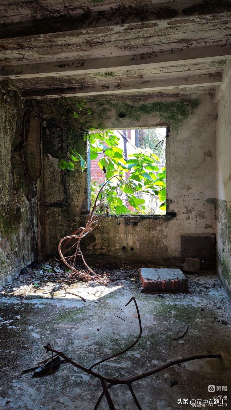 南峰心声,南峰情头